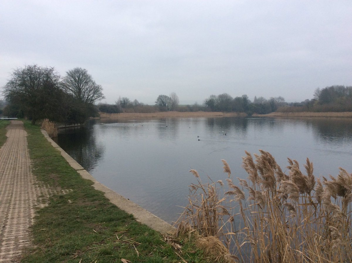 CRTinspectTom's tweet photo. Today at #Marsworth #Tringford #Startops #reservoirs

 #GrandUnionCanal

#canalrivertrust #canals #waterways #winter #tring 

#lifesbetterbywater Peace &amp; calm for your own #Wellbeing https://t.co/uvhiVWL0N8