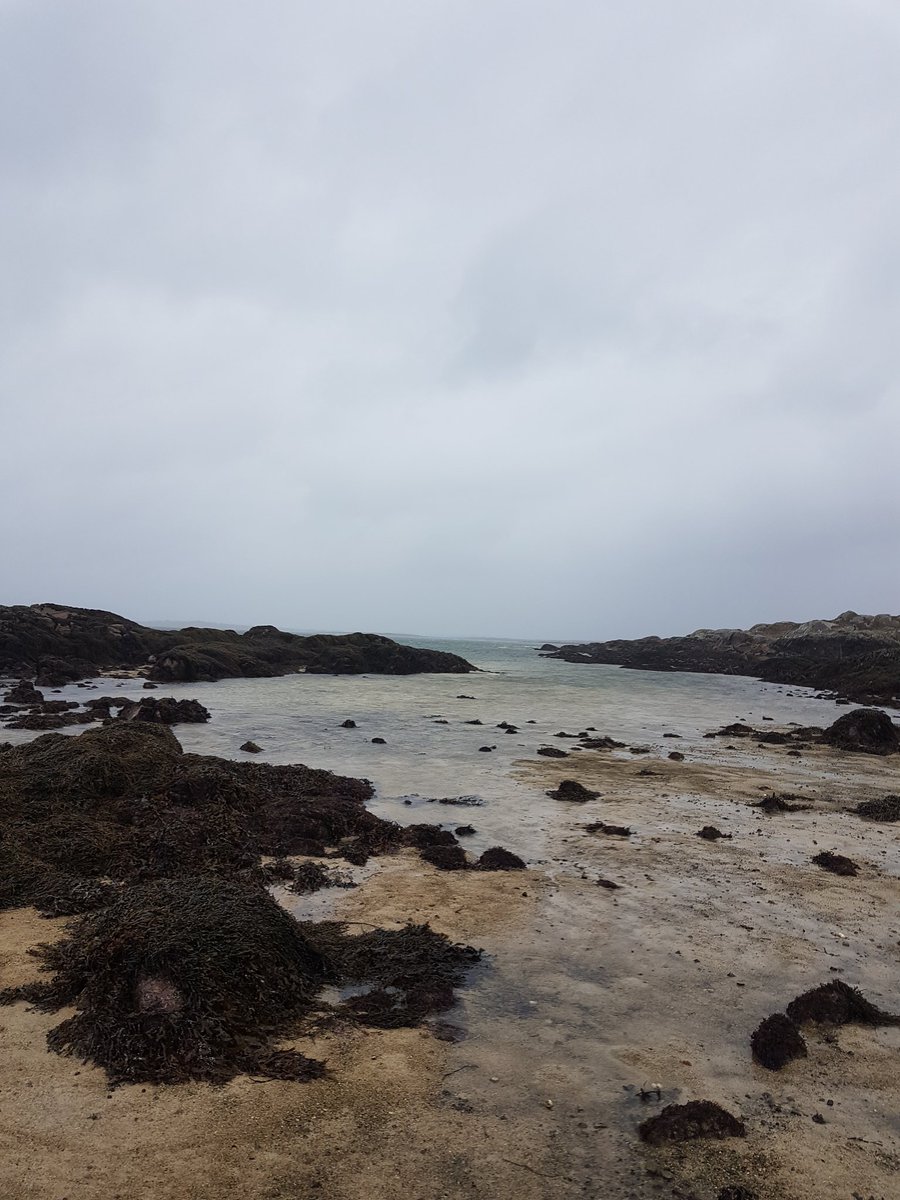 CaptainkirkeD's tweet photo. You may not be able to tell but it is torrential rain and high speed winds in Connemara. I am currently in the middle of it collecting seaweed. Drenched. If you work with seaweed but someone else gets it for you please appreciate what is involved.
#seaweed #collection #givethanks https://t.co/KzcGGpDn0b