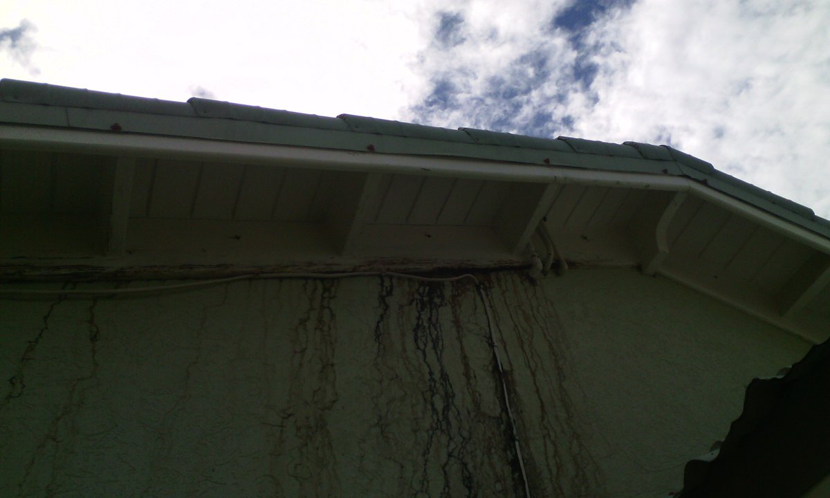 RepairProsJa's tweet photo. Before &amp; After water leak solution
#Before #After #Waterleak #Solution #Solutions https://t.co/W0NtWI1LMQ