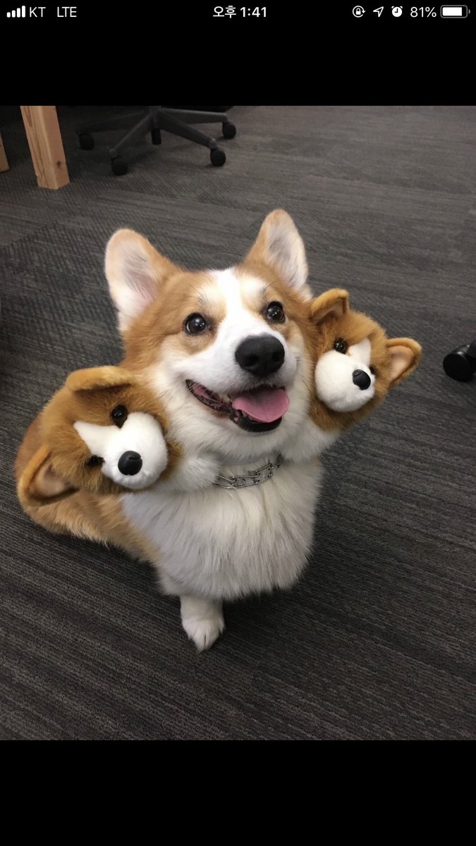 nkami (@nkami15) on Twitter photo 