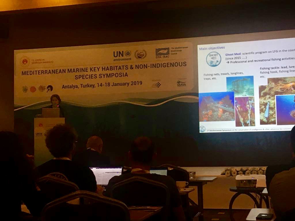 GhostMed tweet media