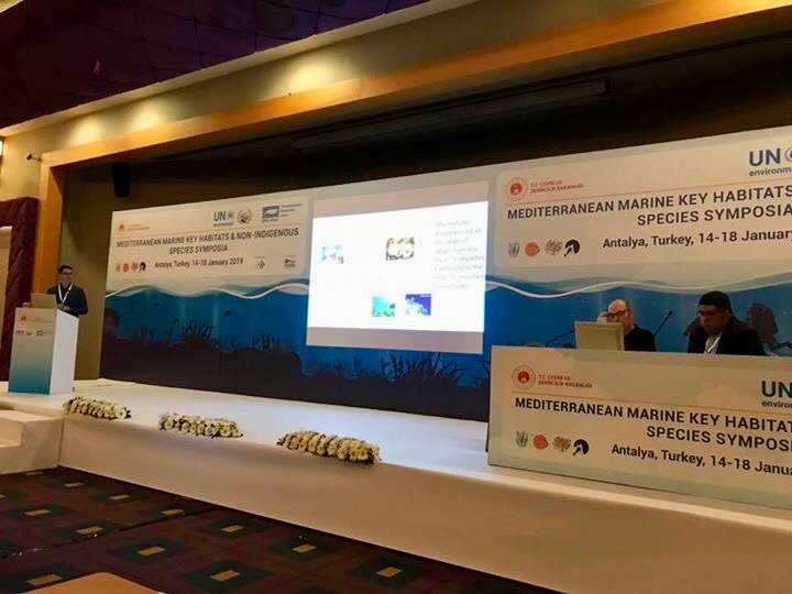 GhostMed tweet media