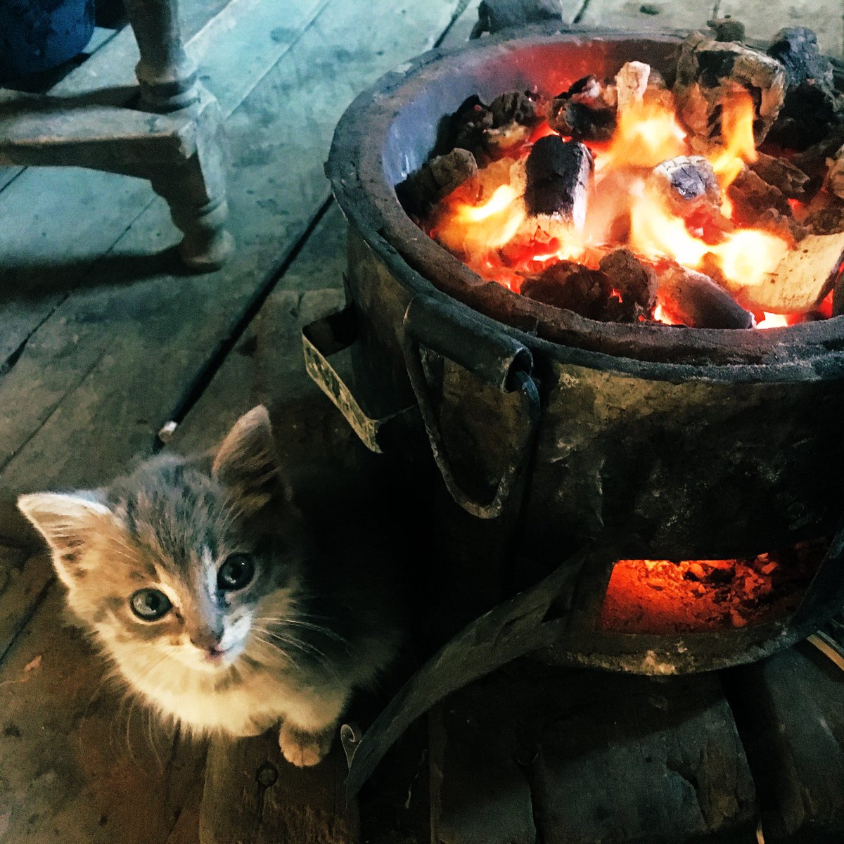 TYakushigawa's tweet photo. #Nyeri is much cooler than Migori.. When I stayed farmer's house in #Embaringo village, they were making fire in jiko (#charcoalCooker) in the living room!
What's more, they were putting salt in the jiko to reduce carbon monoxide emission! I never knew. How smart...😮 https://t.co/x3cUuV8pjL