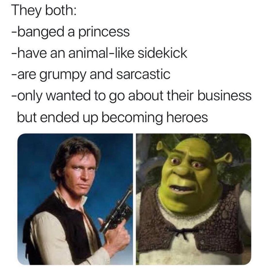 Han solo shrek outfit Clearance