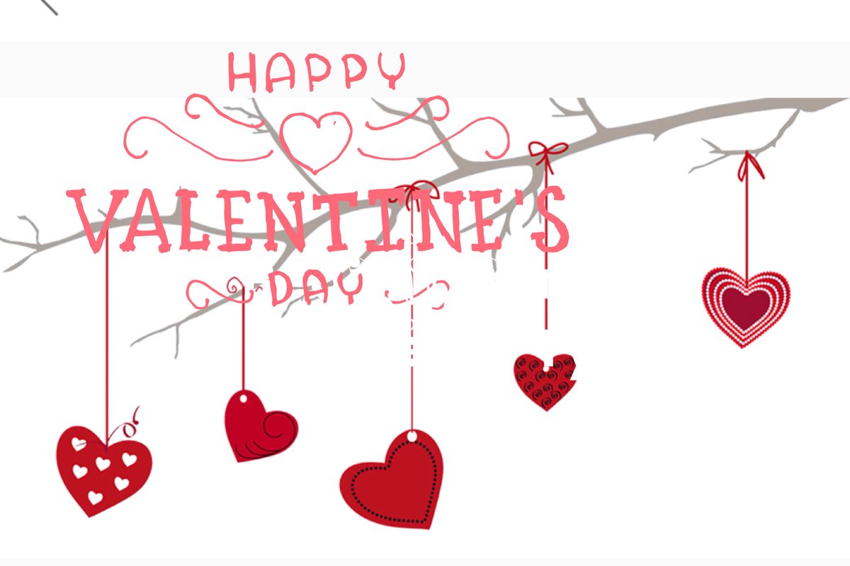 Little Bird tweet media