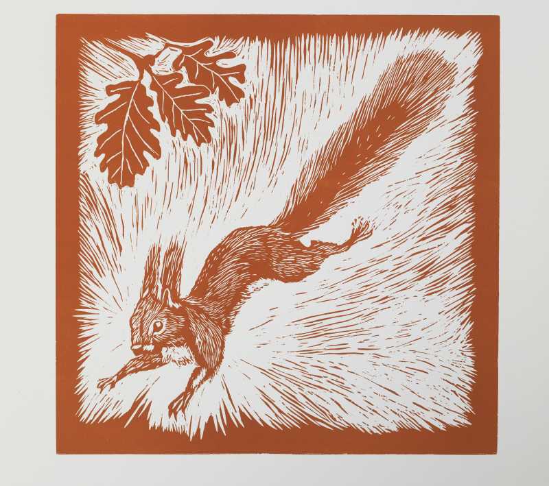 GalleryPiccolo tweet media