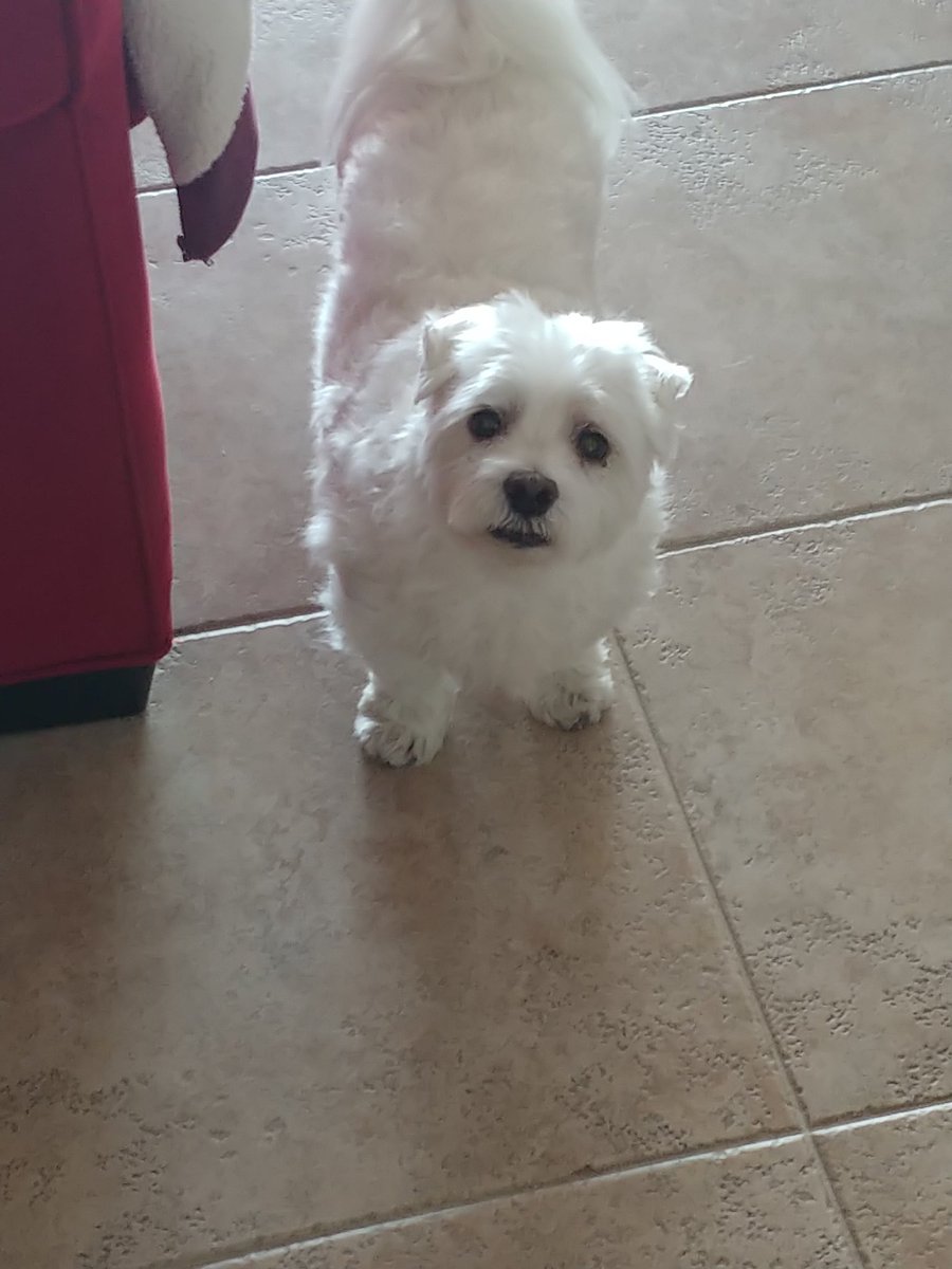 Gallious's tweet image. Benny 😄