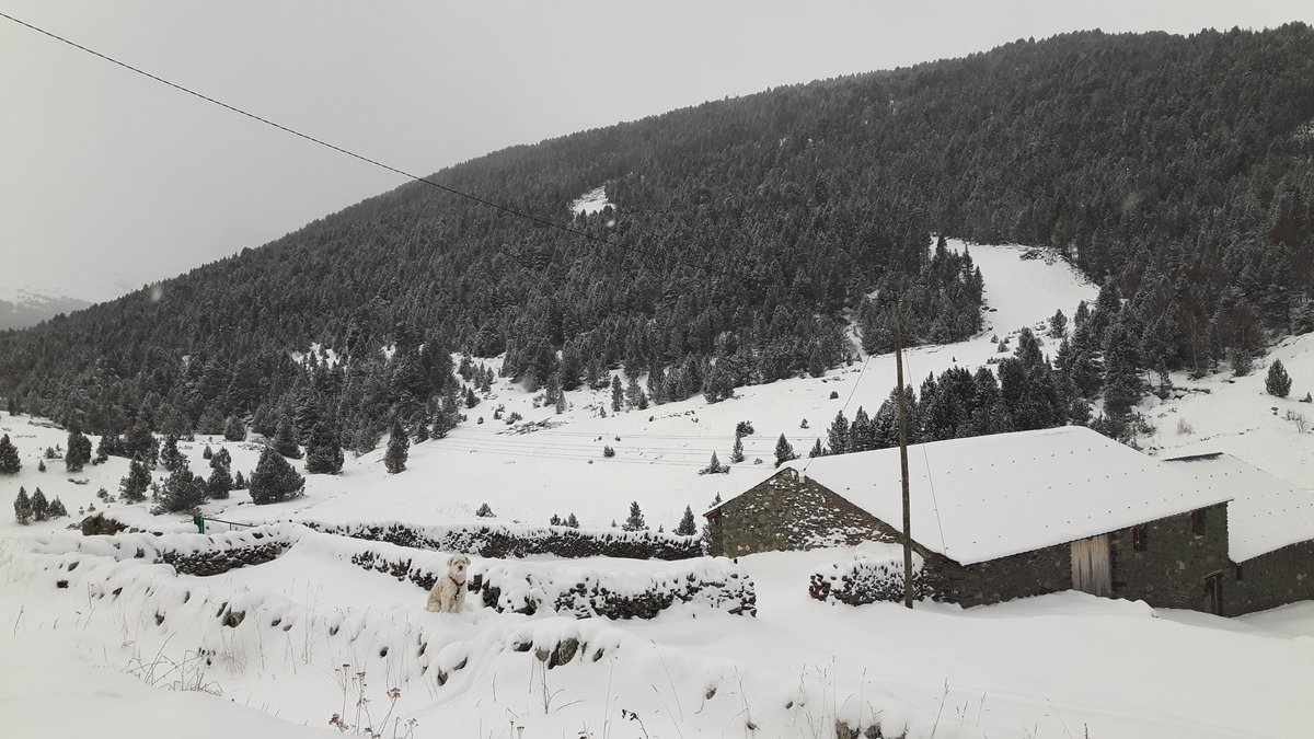 nwpowderdays's tweet photo. Com ha canviat el "cuentu" eh? Recuperant el blanc a #Andorra 😍
#NoWorkingDays are coming! ⛷🏂⛷🏂⛷

📍Bordes d'Envalira https://t.co/0kS4OxdYbI