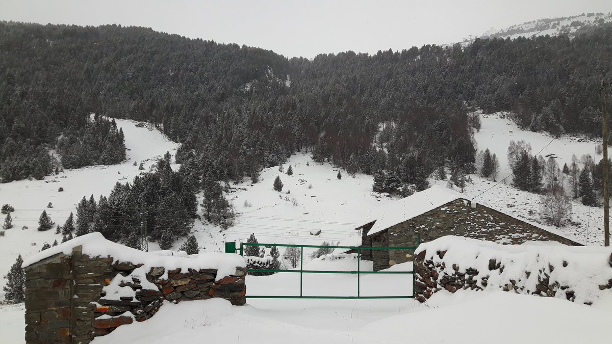nwpowderdays's tweet photo. Com ha canviat el "cuentu" eh? Recuperant el blanc a #Andorra 😍
#NoWorkingDays are coming! ⛷🏂⛷🏂⛷

📍Bordes d'Envalira https://t.co/0kS4OxdYbI