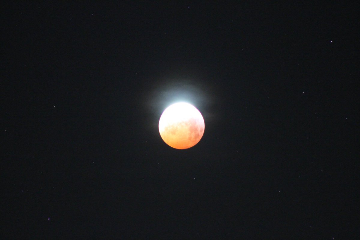 NLPTwente's tweet photo. Wat een fantastisch begin met deze #bloedmaan op deze #bluemonday 
Om zes uur naar buiten om@decdag fris en verwonderend te beginnen. #kleurjedag @enschede https://t.co/7lqfRZHWZV