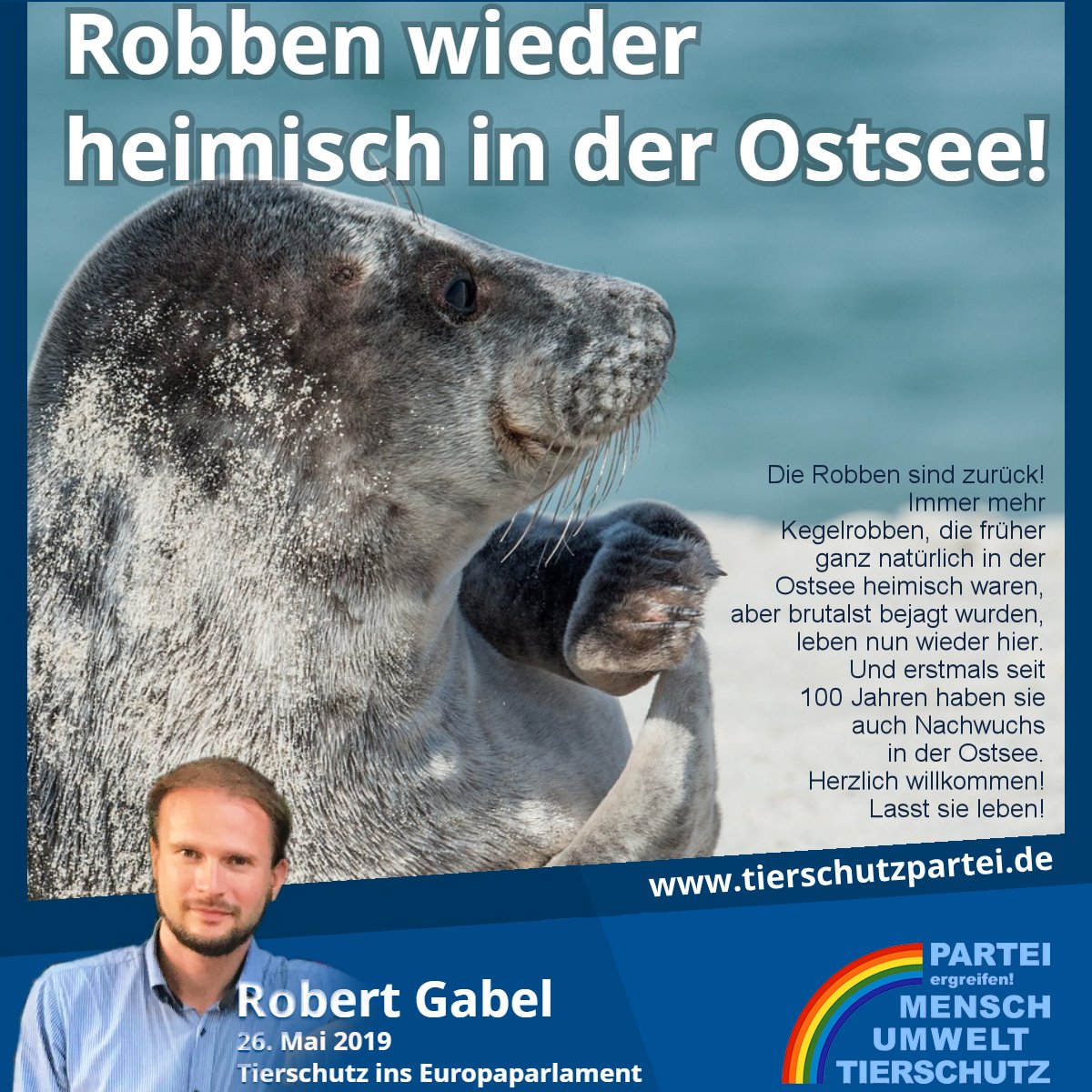 Immer mehr Kegelrobben, die früher ganz natürlich in der Ostsee heimisch waren, aber brutalst bejagt wurden, leben nun wieder hier. Herzlich willkommen!
Lasst sie leben! bit.ly/2RSoaj7  #ostsee #ep2019  #europawahl #robben #artenschutz ist #tierschutz ist #umweltschutz