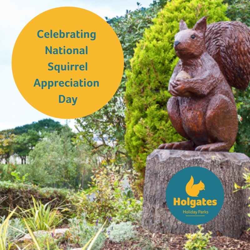 HolgatesGroup's tweet photo. Today it's #SquirrelAppreciationDay! Squirrels are our favourite #woodland animal here at #Holgates If you have not met Mawson yet at our entrance say hello to him next time your here! https://t.co/LKJEp0VEqp