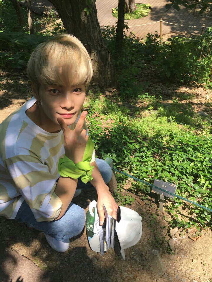 trueis95's tweet photo. 식물이름표옆에 붙어서 쪼그려앉아가지구 사진찍은거봐ㅠㅠ이름표를 절대 가려선 안돼ㅠㅠ큐ㅠ https://t.co/yrwqM4s39R