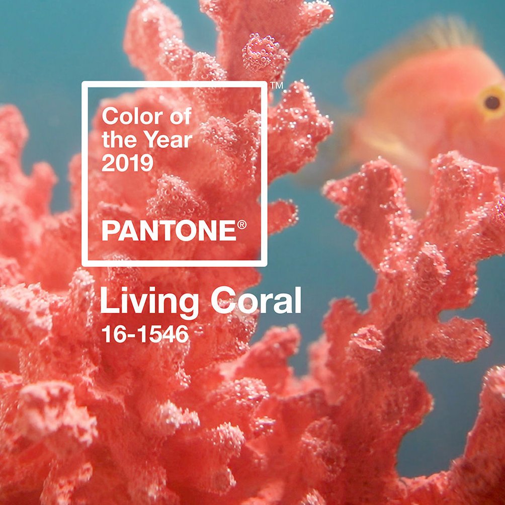 Cloud 9 Studio tweet media