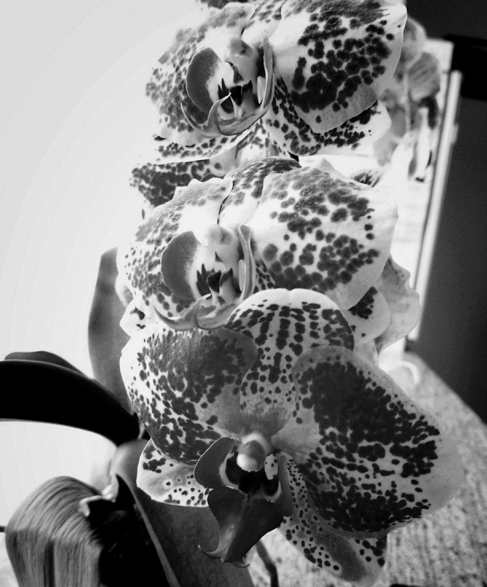 EnthomPhotos's tweet image. BTC ( Bitcoin ) Donation 👉 17fuLzQoGTWtSXLDkbLm1VMPJZMN5RE9yt 👈 🙂  Free download / PMessage to me  🎁 Follow me + Retweet = I Follow Back  🎁  /K17