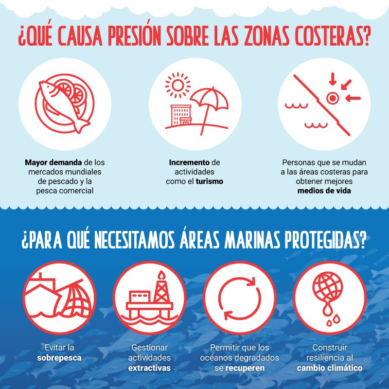 unep_espanol's tweet photo. ¿Para qué sirven las áreas marinas protegidas 🌊?
Nos ayudan a:
🔹Evitar la #sobrepesca.
🔸Recobrar zonas marinas degradadas.
🔹Combatir el #cambioclimático.  
¡Trabajemos para lograr #MaresLimpios! https://t.co/3Owq50ETVe