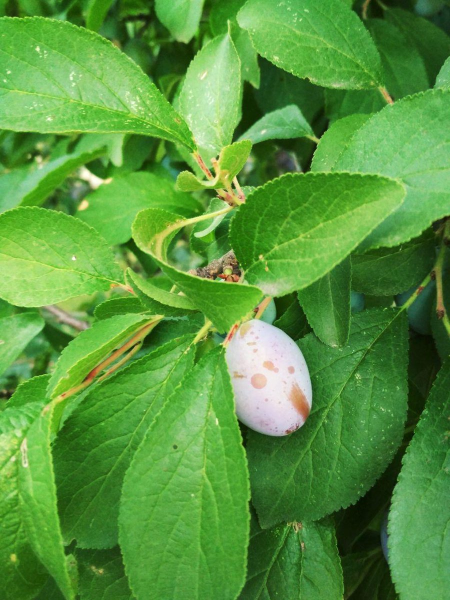 EnthomPhotos's tweet image. BTC ( Bitcoin ) Donation 👉 17fuLzQoGTWtSXLDkbLm1VMPJZMN5RE9yt 👈 🙂  Free download / PMessage to me  🎁 Follow me + Retweet = I Follow Back  🎁  /K18