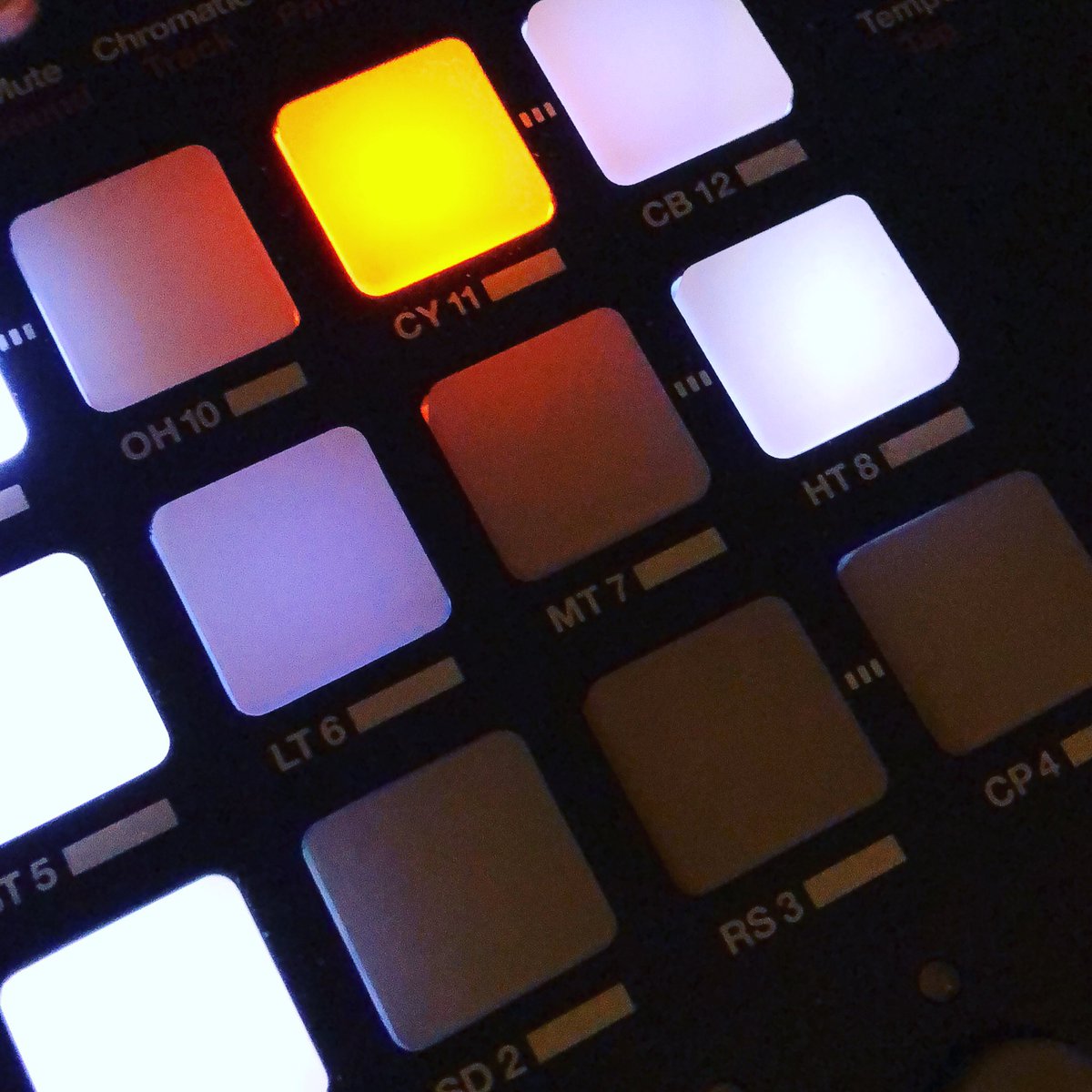 Weapon of choise n.1 
Elektron Analog Rytm
#drummachine #elektron #analog #rytm #drumcomputer #mondayslayer #weaponofchoise