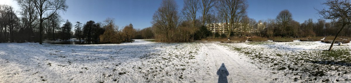 AaronCleary11's tweet photo. Pano in the snow ft my shadow #cleary22lit #100sonas https://t.co/2pb2AXq02N