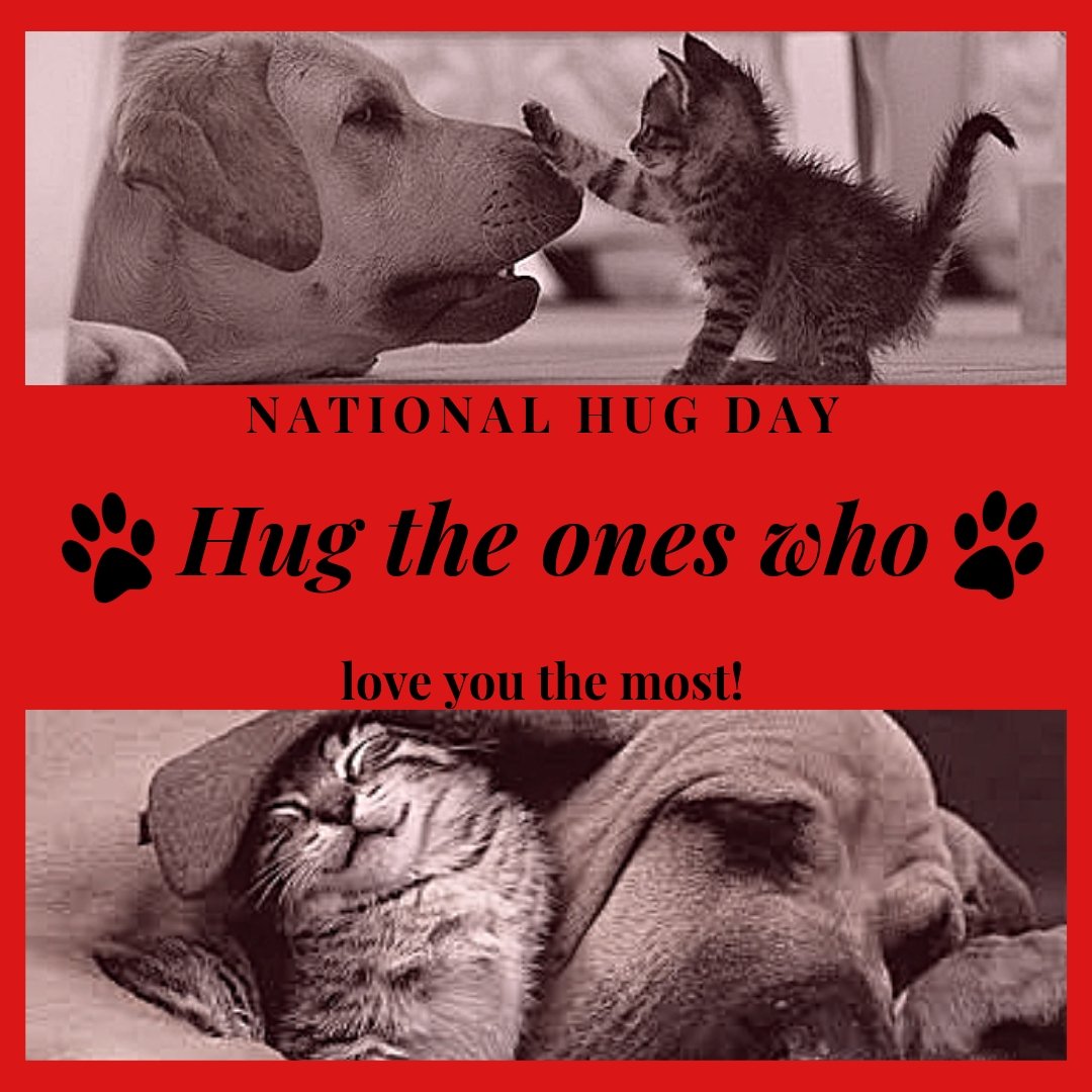 HSEC's tweet image. Good morning on this cold winter day. We hope you are bundled up whether you are inside by the fire or out and about this morning. No matter what your plans are for today we hope you hug and snuggle up with the ones who love you the most! 

Happy National Hug Day!