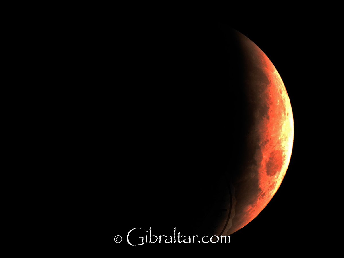 Gibraltar.com tweet media