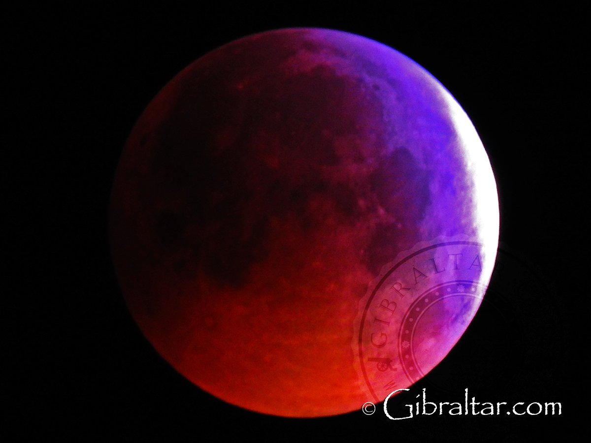 Gibraltar.com tweet media