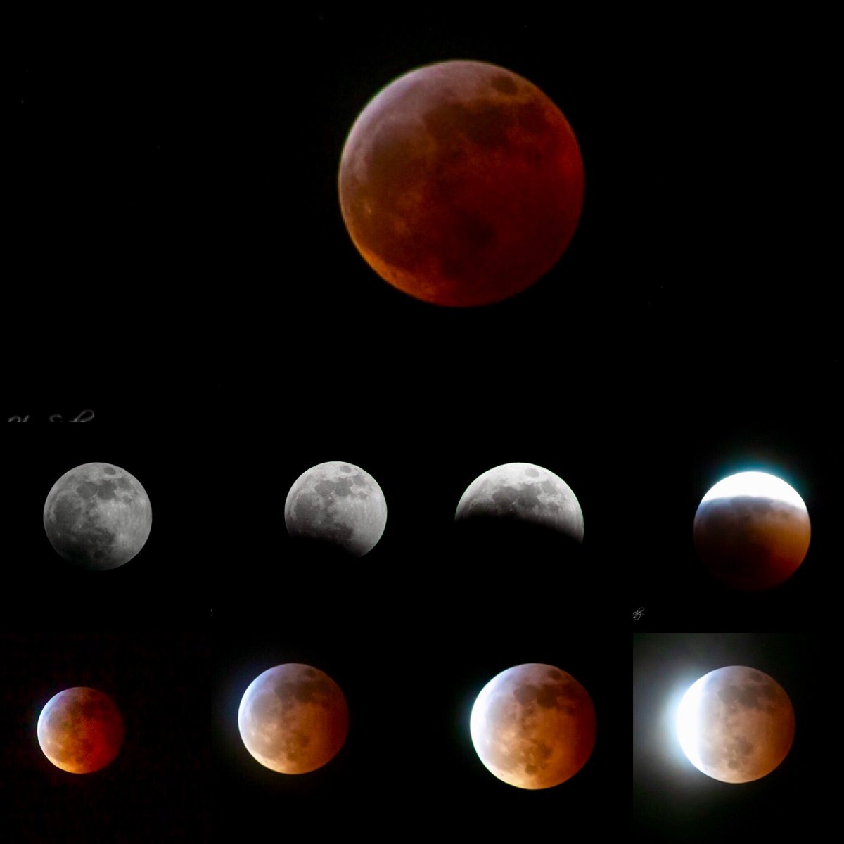Red blood wolf moon eclipse 2019 in Edmonton #yeg #redbloodmoon #fullmoon #exploreedmonton ##explorecanada #travelalberta #beautiful #amazing @_SpaceWeather_