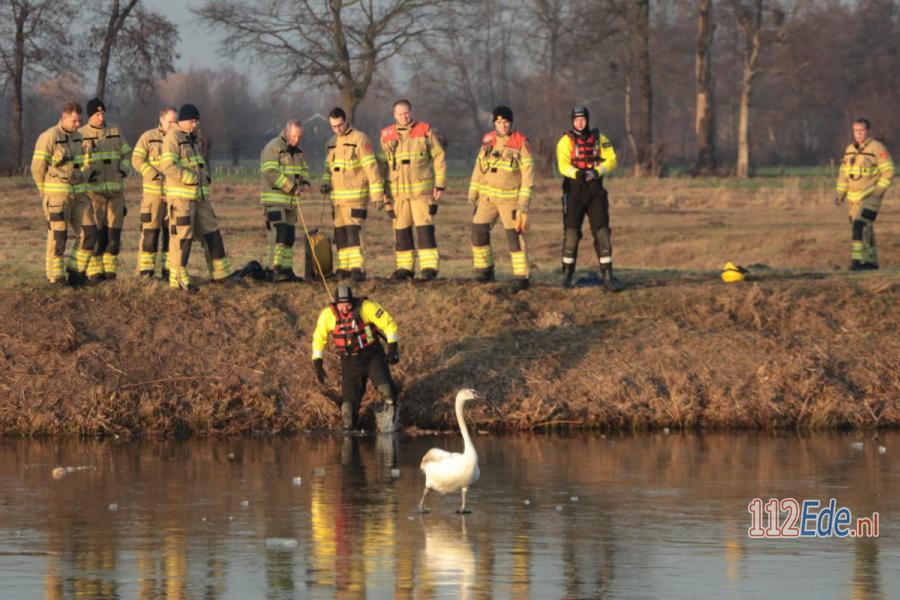 🚨 Brandweer schiet vastgevroren zwaan te hulp in #Ede 112.press/Qx8wLL 112Ede https://t.co/ACwAg094Rd