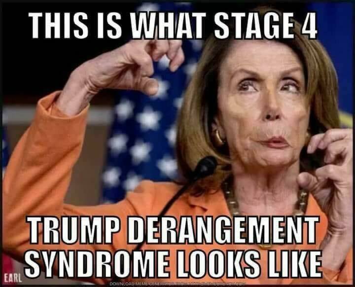 Liam_4_Freedom's tweet photo. #CrookedNancy #Libtards #LiberalMemes #LibtardMemes #LiberalismIsAMentalDisorder #MAGA #KAG #Memes #PoliticalMemes #NancyPelosi https://t.co/KO2laCmgDw