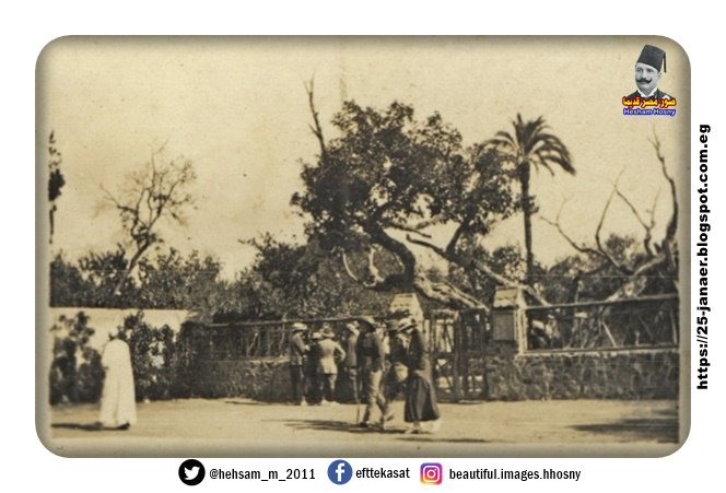 حديقة الحيوانات مصر القاهرة 1915
