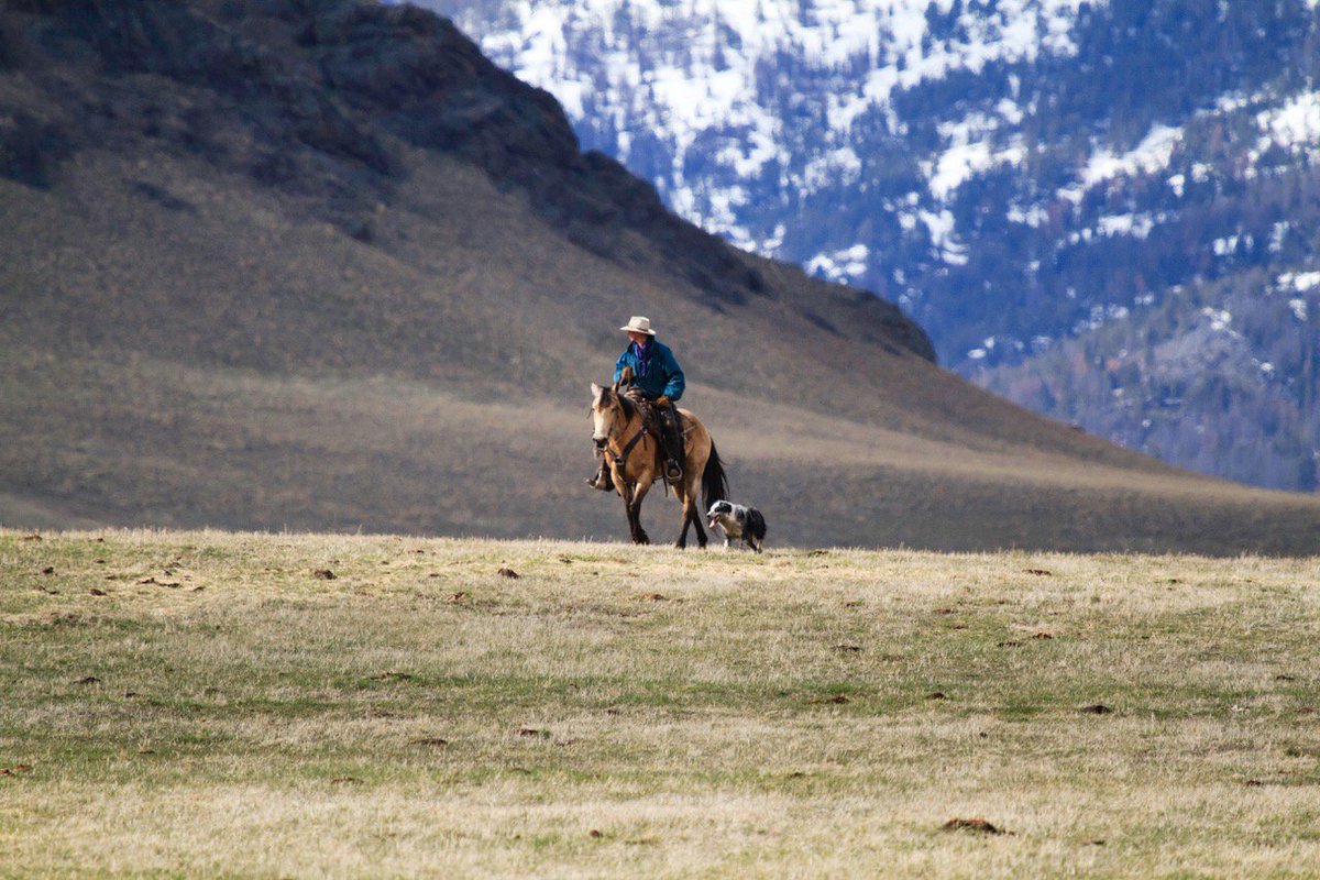 12 Land Trusts /12 Phrases: The Montana Land Reliance: One million acres. Cows not Condos. Madison Valley. Agriculture. Leadership. Sage grouse. Legacy. Ruby Habitat Foundation. President’s Award. Trout Route. Open spaces. Nourish the spirit of future generations. <a href="/MTLandReliance/">The MT Land Reliance</a>