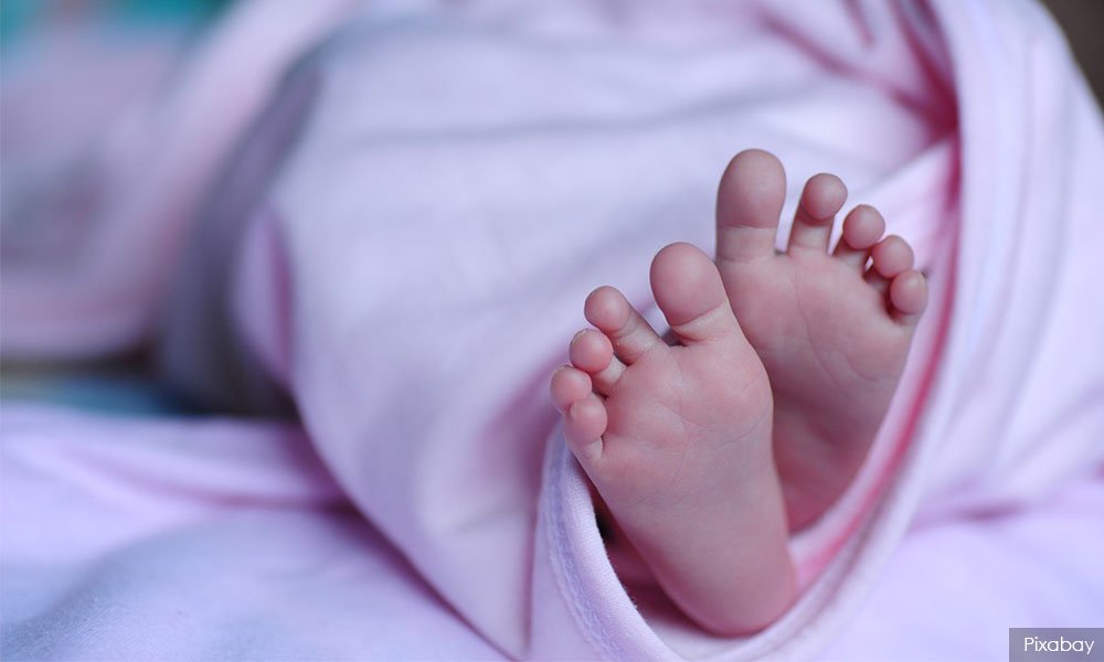 malaysiakini's tweet photo. China scientist who gene-edited babies fired by university https://t.co/lUHdjBTVA3 https://t.co/ptb7FDc35u