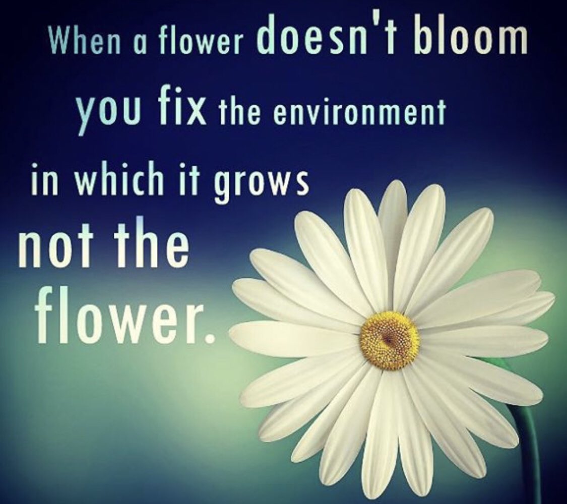 ldconsulting's tweet image. 