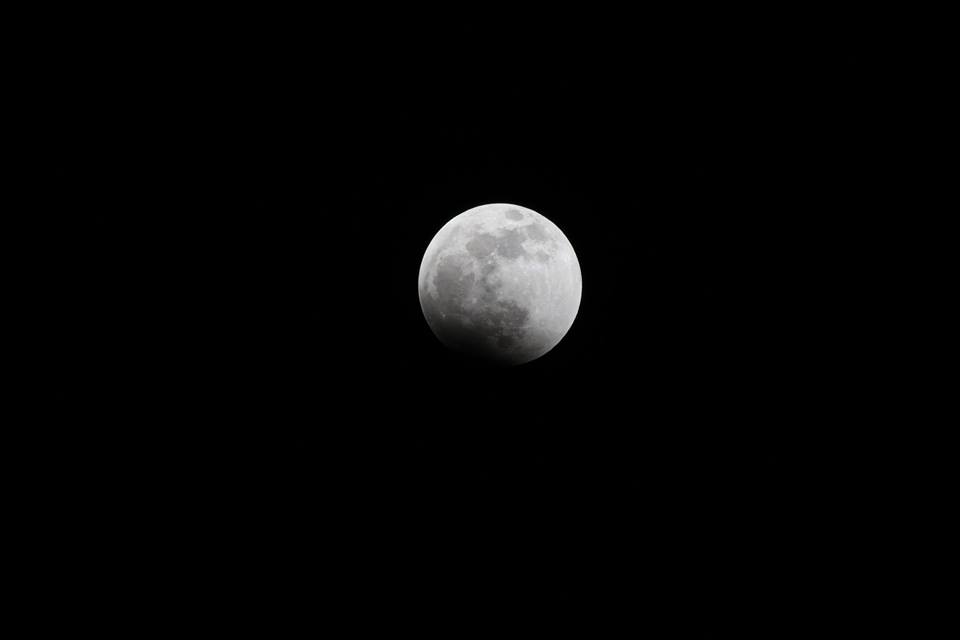 cwc_mi's tweet photo. Some beautiful images of the super blood wolf moon courtesy of our partners at Isabella Conservation District. https://t.co/XdThNMStvs