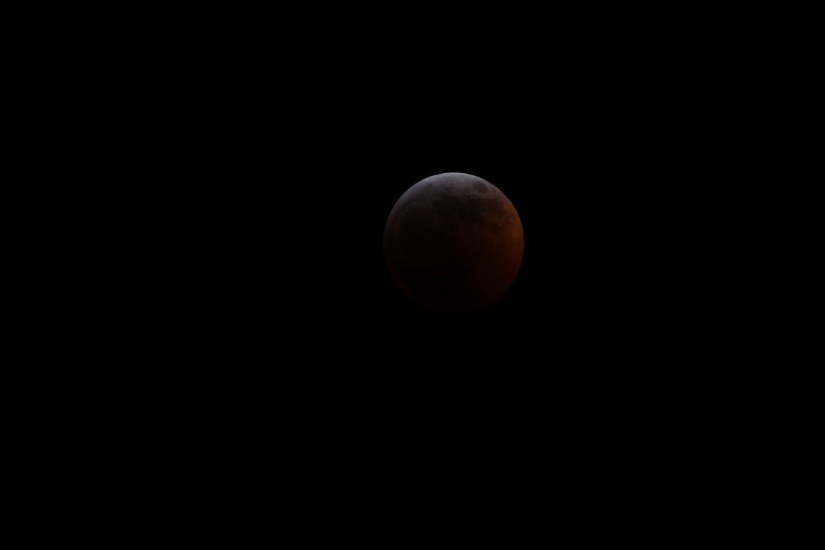 cwc_mi's tweet photo. Some beautiful images of the super blood wolf moon courtesy of our partners at Isabella Conservation District. https://t.co/XdThNMStvs