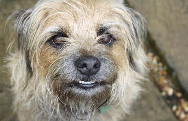 jack_border's tweet image. It’s too cold outside 🙄😱🥶