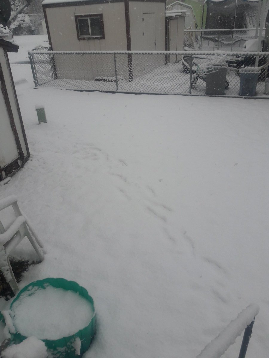 noorahalfraywan's tweet photo. Woke up to all this snow!!! ❄️❄️❄️ #brr #verysnowy https://t.co/BVwqZJSbZN