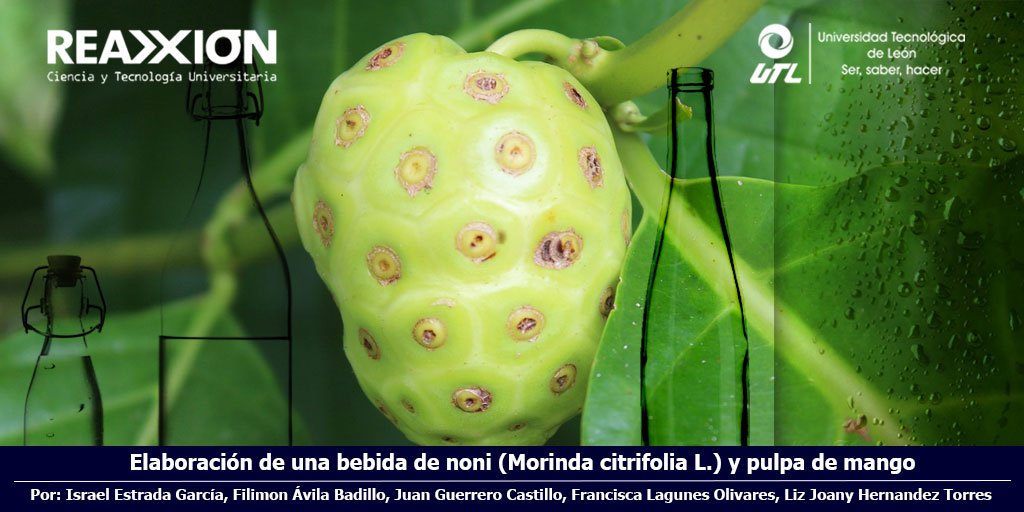 ReaxionUTL's tweet photo. Elaboración de una bebida de noni (Morinda citrifolia L.) y pulpa de mango.
Leer en: https://t.co/gKSGOGQ1ik Por: Israel Estrada García, Filimon Ávila Badillo, Juan Guerrero Castillo, Francisca Lagunes Olivares, Liz Joany Hernandez Torres. 
@uthh96 https://t.co/04dVN7uvGI