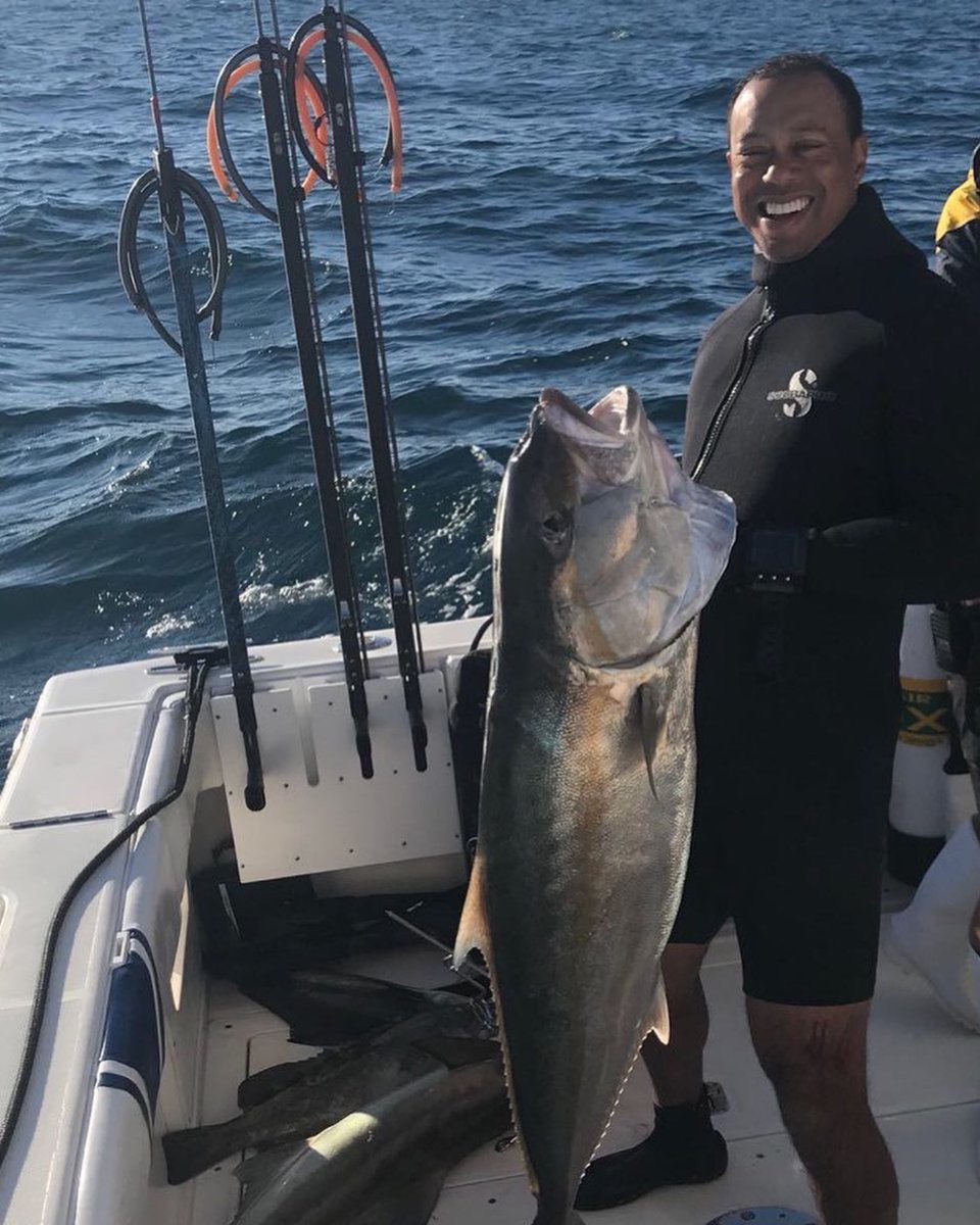 seatowsandiego_'s tweet photo. Tiger with a big fish. 🐯🐟 #TigerWoods #farmersopen2018 #SanDiego #LaJolla #SanDiegoFishing #Fishing #SD #SanDiegoGolf #SanDiegoBay #Fisher #Boating #BayLife #fishermen #Tigerwoods #LaJollaShores #PacificBeachSanDiego #DelMar #sandiegoyachtclub #ShelterIsland https://t.co/y53YnDx9xa