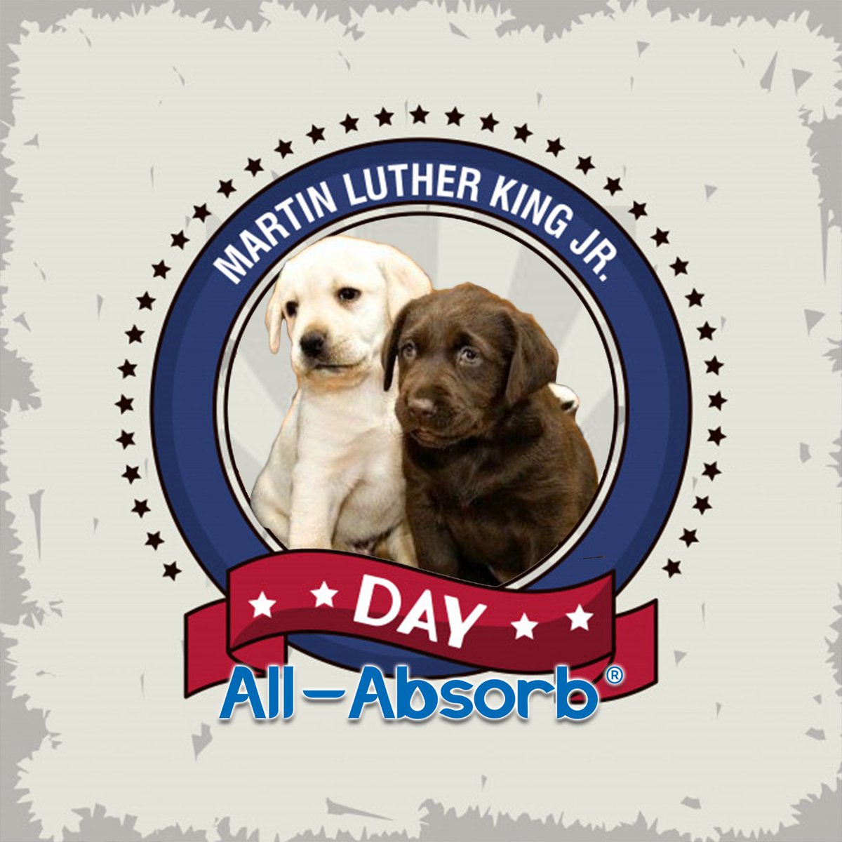 AllAbsorb's tweet image. Happy #MartinLutherKingJrDay!  We hope you have a wonderful week! 
"You don't have to see the whole staircase, just take the first step" - Martin Luther King Jr. 
All-Absorb.com
#Allabsorb #trainingpads #MLK #martinlutherking  #martinlutherkingjr #ihaveadream #mlkday