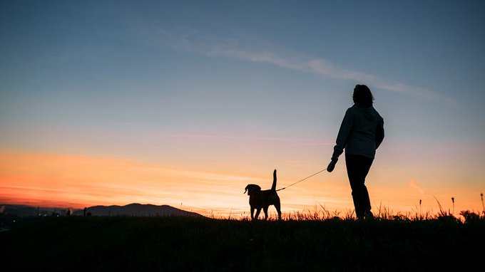 Heb jij de buitenlucht opgezocht op deze prachtige #BlueMonday?
Hopelijk kunnen we de komende dagen nog meer genieten van dit winterweer, wij hebben er alvast een wandelroute voor bedacht! ⛄❄ https://t.co/9GCeEQ2SU0