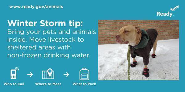 NewsNetNews's tweet image. 🌬⚠️ WX #WinterWeatherTips from @Readygov &amp;amp; When Winter Winds Blow Be sure to #BringYourPetsInside ⚠️🌬