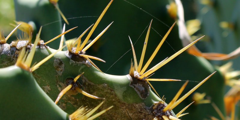 adeptia's tweet image. Are you aware of the problems faced by substandard #integrationtechnology? If not, go through
hubs.ly/H0gftch0