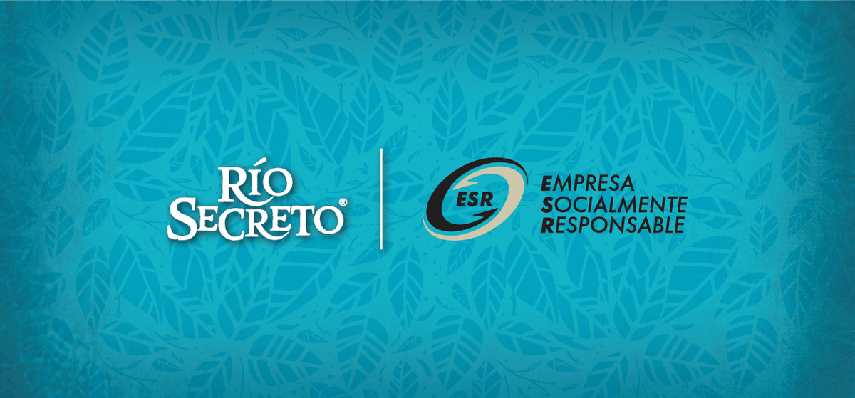 riosecreto's tweet photo. Río Secreto promueve una mejor #comunidad y obtiene el #distintivo Empresa Socialmente Responsable #ESR. / Río Secreto promotes a better #community and obtained the ESR #distintive (Socially Responsable Company)
.
¡Haz click🔻aquí🔻 y conoce más!
https://t.co/tn3jx9haID https://t.co/Yx6tOYXHn8