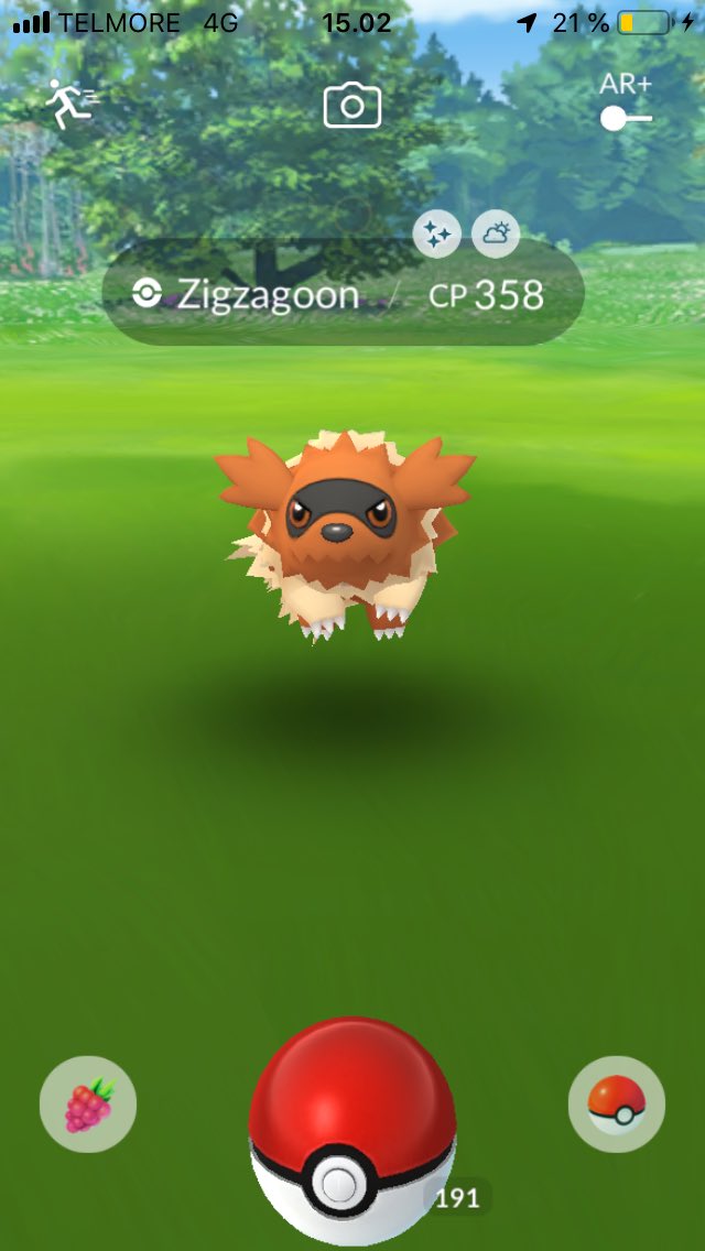 JonasRethmeier's tweet photo. First shiny Zigzagoon in the collection! #pokemongo #shiny #zigzagoon #pokemon #hoenn #hoenncelebration https://t.co/NOZAHQr191