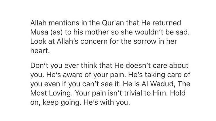 HifzTipz's tweet photo. Almighty Allah's concern for the sorrow of the mother of #NabiMusaAS https://t.co/qK6S0yPANk