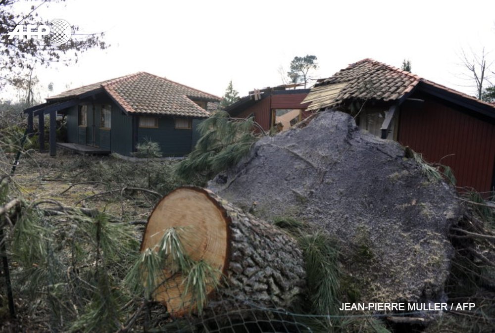 afpfr's tweet photo. Dix ans après la tempête Klaus, le massif forestier des Landes de Gascogne, plus grande forêt artificielle d'Europe, reste défiguré mais se relève lentement, à l'identique, après un "chantier de reboisement historique" https://t.co/soQkRagHwB #AFP https://t.co/ZnZn8FziC0