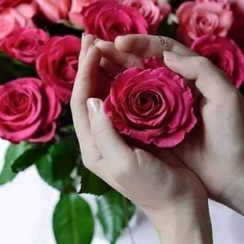 کئی بار ہماری زندگی کو جدوجہد کی ضرورت ہوتی ہے 
اور خدا اگر ہماری زندگی میں مشکلات نا ڈالے تو ہماری زندگی مفلوج ہوجاتی ہے اور ہم کبھی اتنا مظبوط نہیں بن پاتے جتنا ہم بن سکتے ہیں۔