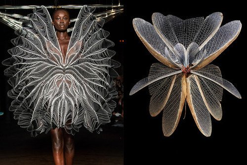 ShopTopDay's tweet photo. Match #419Iris van Herpen Fall 2018 Couture | Mimesis - Iridis… https://t.co/jXcgyGuTwO #StyleUp #Jewelry #Fashion2015 #WomenFashion #WomenClothes #beauty #makeup #cosmetics #fashion https://t.co/jXcgyGuTwO https://t.co/h9tHGvCJa6