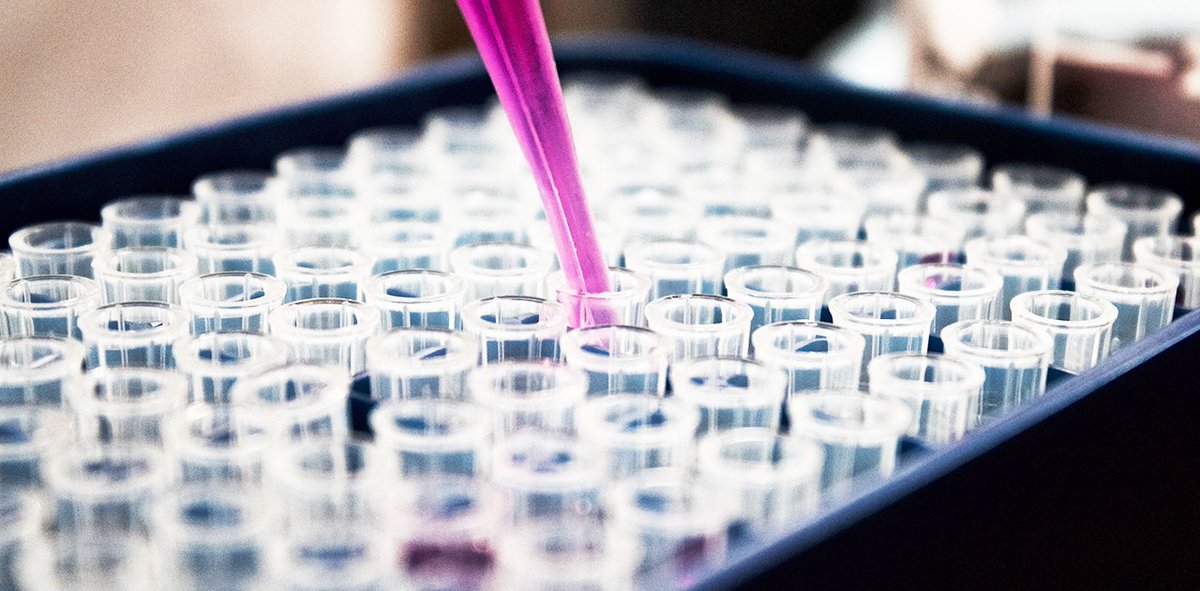 RallyFoundation's tweet photo. Did you know that osteosarcoma is the most common form of bone cancer in children and adolescents? See how Rally Researchers created a personalized vaccine to treat osteosarcoma, through support from Rally supporters like you! #RallyOn https://t.co/o8lQCbFHYW https://t.co/oqE1gH6sI7
